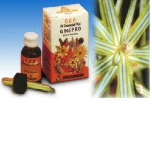 GINEPRO OLIO ESS.PURO 10ML SPE