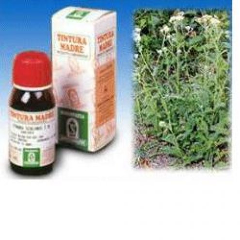 ACHILLEA 50ML TM SPECCHIASOL