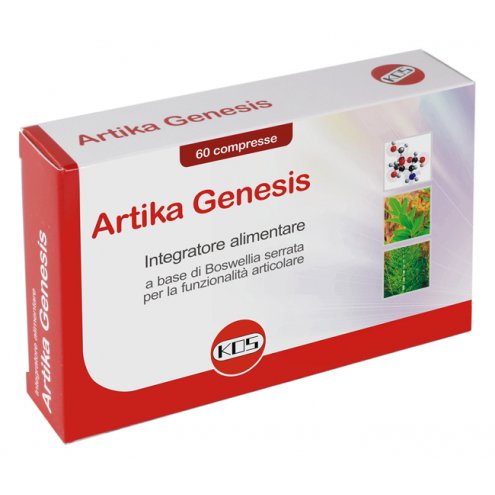 ARTIKA GENESIS 60COMPRESSE