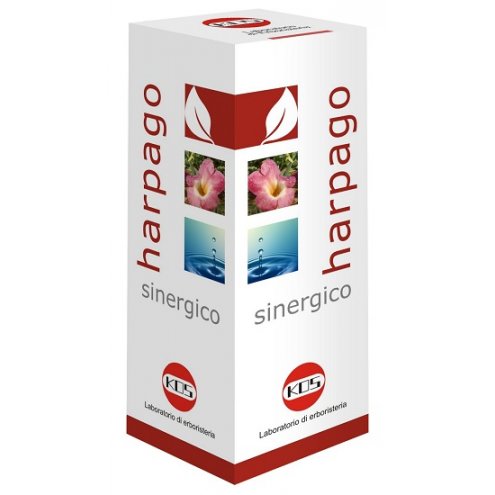 HARPAGO SINERGICO GOCCE 100ML KO