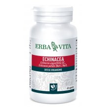 ECHINACEA 60CAPSULE 500MG