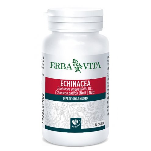 ECHINACEA 60CAPSULE 500MG