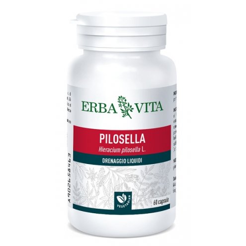 PILOSELLA 60CAPSULE 400MG