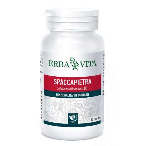 SPACCAPIETRA 60CAPSULE 300MG