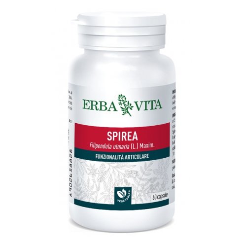 SPIREA ULMARIA 60CAPSULE 400MG