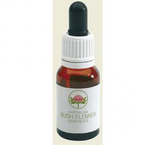 RED GREVILLEA AUSTR 15ML GOCCE