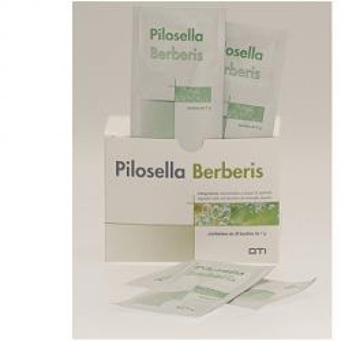 PILOSELLA-BERBERIS 30BUS