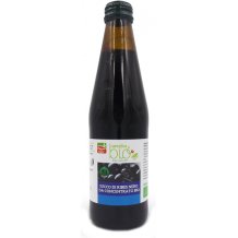 SUCCO RIBES NERO BIO 330ML