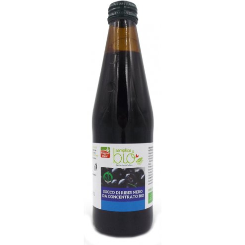 SUCCO RIBES NERO BIO 330ML