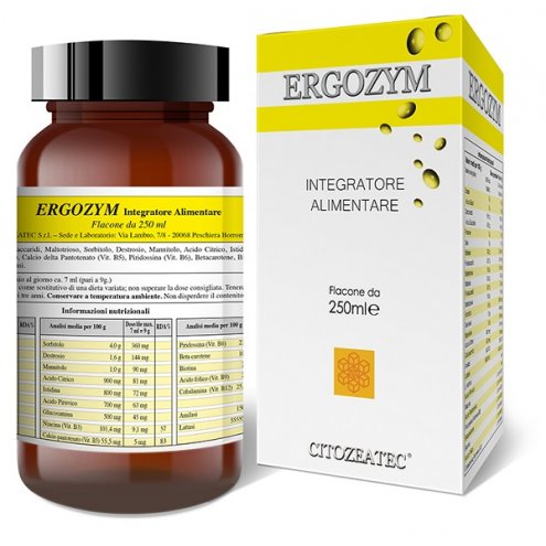 ERGOZYM SCIR 250ML