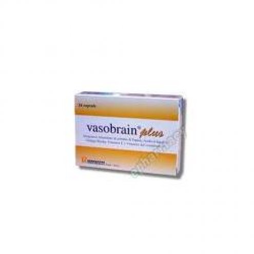 VASOBRAIN PLUS INTEGRAT 24CAPSULE