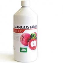 MANGOSTANO SUCCO 1L