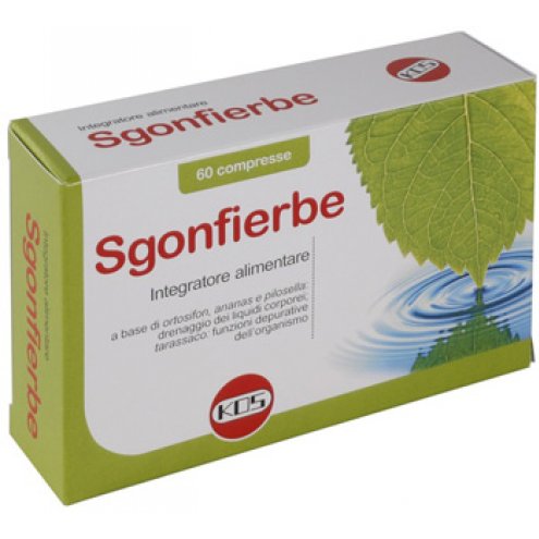 SGONFIERBE 60CPR