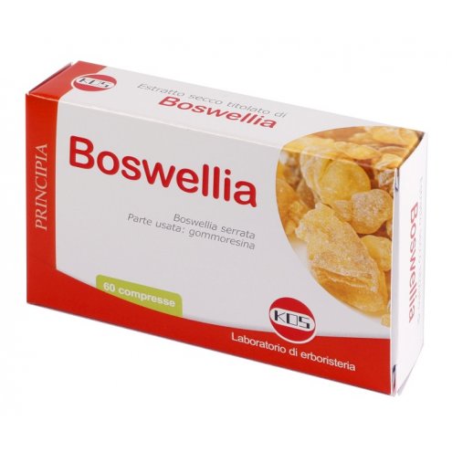 BOSWELLIA ESTR SEC 60COMPRESSE 24G K