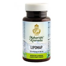 LIPOMAP 120COMPRESSE 60G