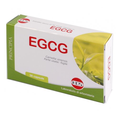 EGCG THE VERDE 30CAPSULE NF