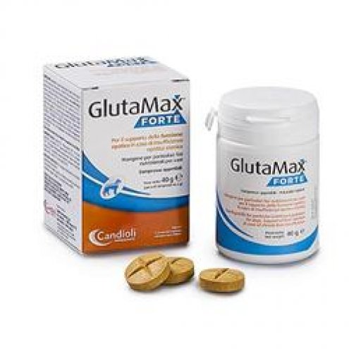 GLUTAMAX FORTE 20COMPRESSE