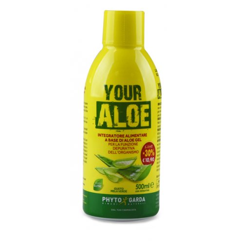 ALOE VERA PG SUCCO 500ML