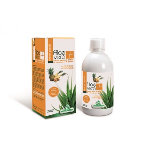 SUCCO ALOEVERA+ ANAN/PAP1000ML