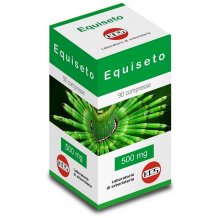 EQUISETO 90CPR 500MG