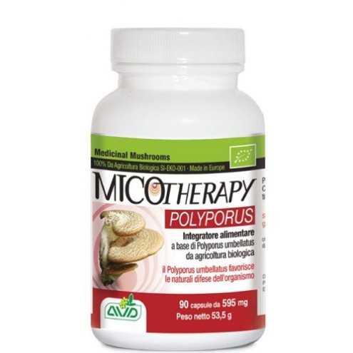 MICOTHERAPY POLYPORUS 90CAPSULE