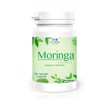 MORINGA OLEIFERA 60CAPSULE