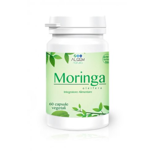 MORINGA OLEIFERA 60CAPSULE