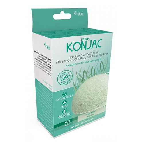 LIBELLULE KONJAC VISO ALOE