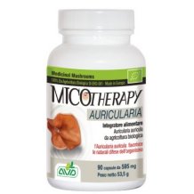 MICOTHERAPY AURICULARIA 90CAPSULE