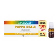 MASSIGEN PAPPA REALE 21FL