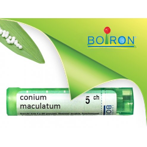 BO.CONIUM MAC.5CH TUBO