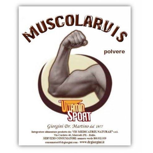 MUSCOLARVIS VITAMINSPORT 500G