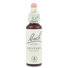 BACH ORIG MUSTARD 10ML