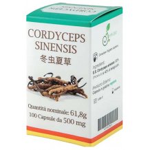 CORDYCEPS 100CAPSULE