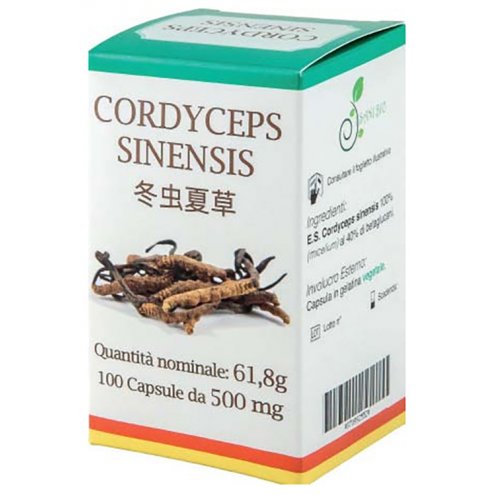 CORDYCEPS 100CAPSULE