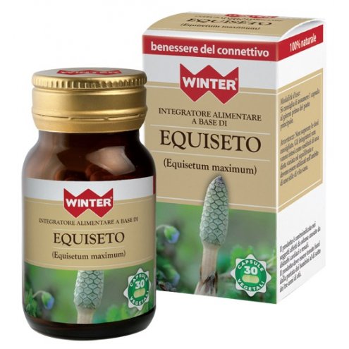 WINTER EQUISETO 30CPS VEG