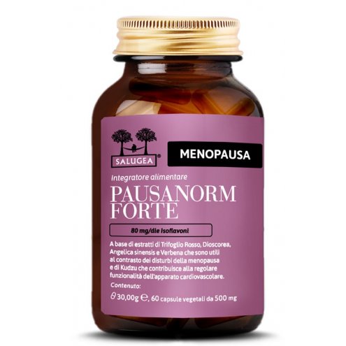 PAUSANORM FORTE 60CAPSULE (I6/073)