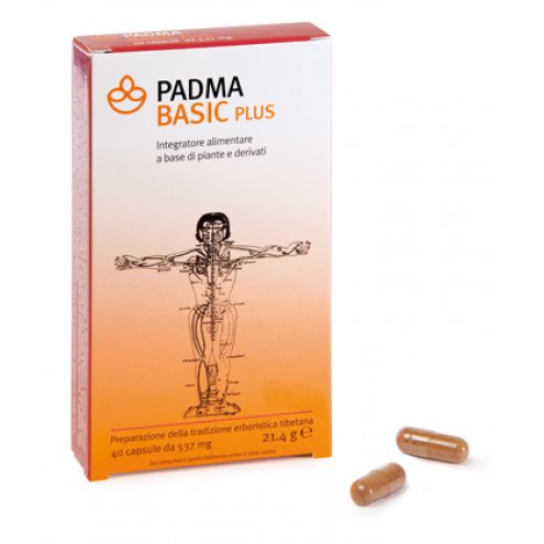 PADMA BASIC PLUS 40CAPSULE