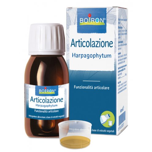 HARPAGOPHYTUM EI 60ML INT