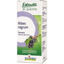 RIBES NIGRUM MG 60ML INT