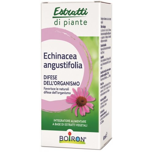 ECHINACEA ANG EI 60ML IN