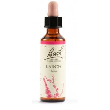 LARCH BACH ORIG 20ML