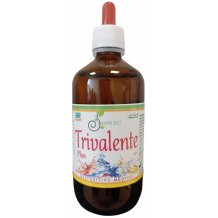 TRIVALENTE COLLOID ION 250ML