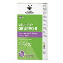 ODF VITAMINE GRUPPO B 45CAPSULE