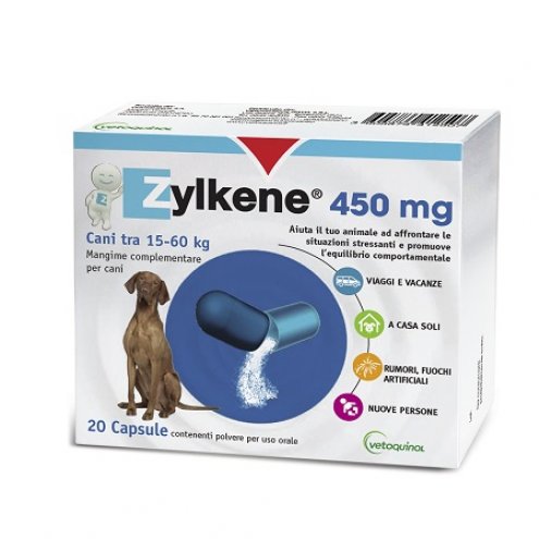 ZYLKENE CANI 20CAPSULE 450MG