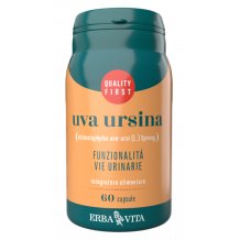 UVA URSINA 60CPS 500MG ERBAVIT