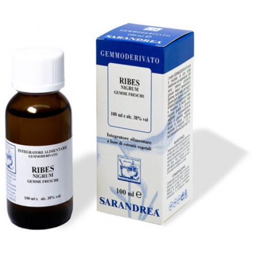 RIBES NIGRUM 100ML MG  SARANDR