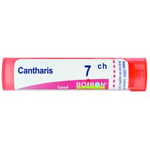 CANTHARIS 7CH GR