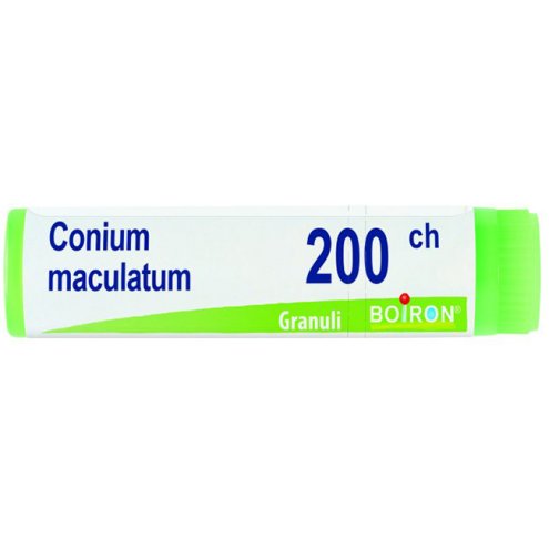 BO.CONIUM MACULATUM 200CH DOSE