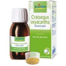 CRATAEGUS OXYACANTHA 60ML TM